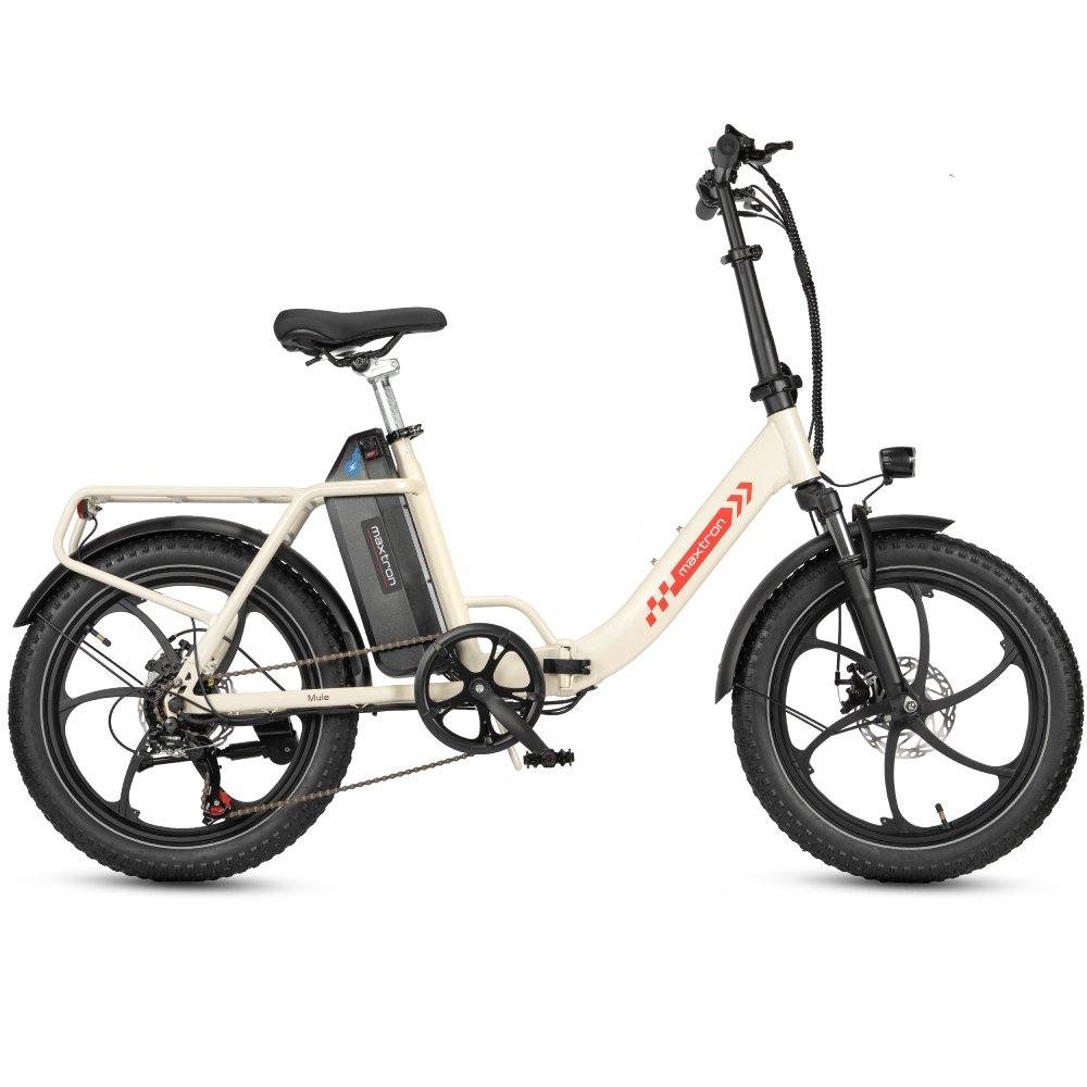 Bicicletta Elettrica Maxturn Mule per Adulti Motore 250W Batteria 48V 20Ah E-Bike Ruote Grasse 20*3.0 pollici Bicicletta Elettrica