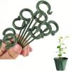10Pcs Support Rod Bonsai Fixing Tool Fixed Flower Vine Climbing Bracket  Vegetables Vine