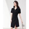 Women's Summer Polo A-Line Pleated Dress
