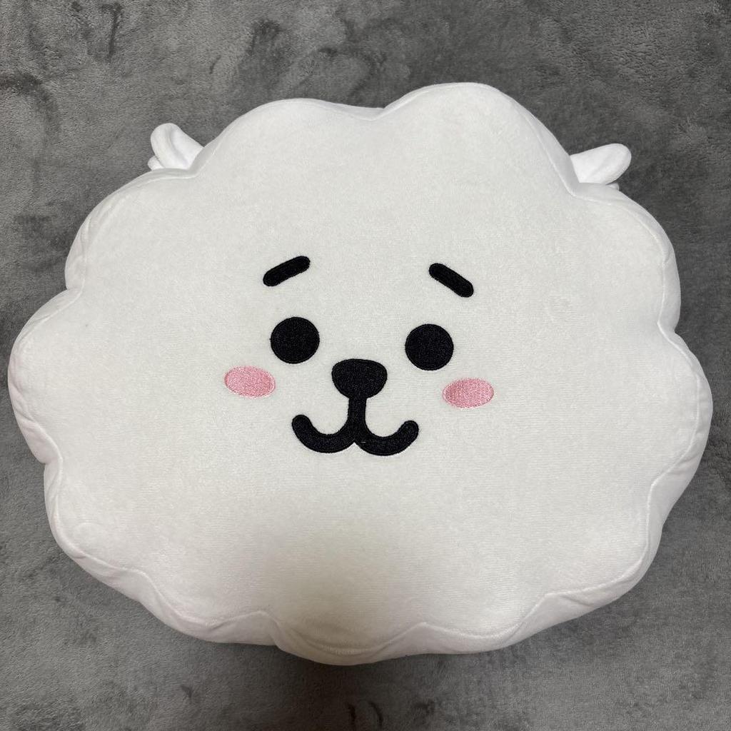 [USED] BT21RJ Plush Toy