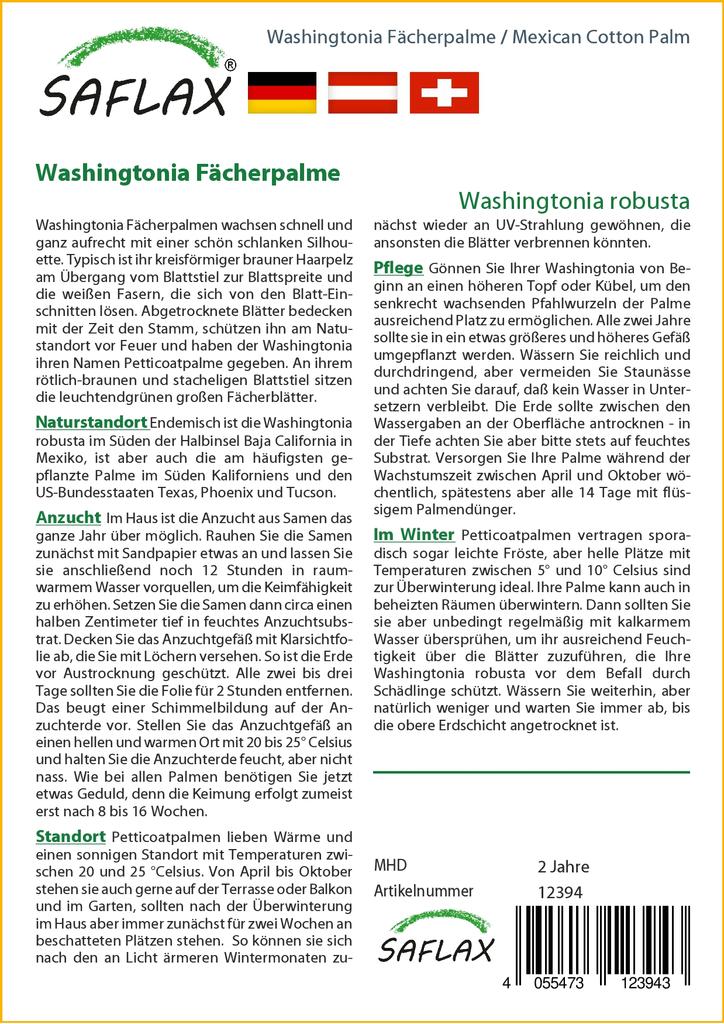 SAFLAX Mexikói gyapotpálma - 12 mag - cserepes szubsztrátummal a jobb termesztés érdekében - Washingtonia robusta