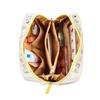 Cosmetic Pouch with Multiple Compartments, Snoopy Travel Design, SPZ-4111