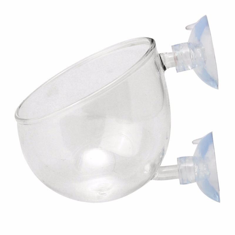 

Glass Plant Cups with Suction Cups for Water Plant Aquariums Landscape Cup for Aquariums Landscape 1