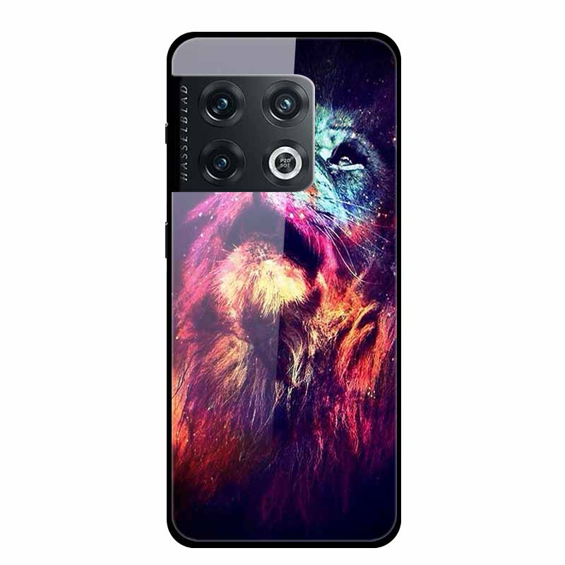 For One plus 10 Pro Case Shockproof Tempered Glass Hard Back Cover For OnePlus 10 Pro 10Pro Oneplus10 1+10 Pro Bumper Coque Case