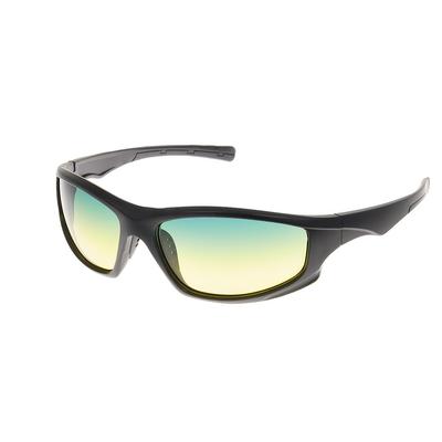 Driving Glasses - Day / Night, Polarized