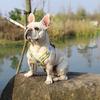 Durability Pet No-Pull Training Harness with Secure Clasp High Visibility Reflective Vest Dog Harness Leash Set