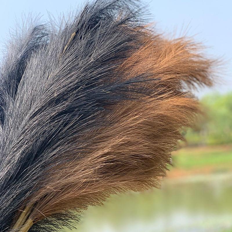 5pcs Extra Large Pampas Grass Stems 120cm Fluffy Artificial Silk Reed for Boho Home Wedding Decor