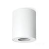 Ceiling Light Fixture 1xGU10 Round IP44 White
