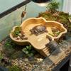Anti-Slip Base Turtle Soaking Tub with Ramp Turtle Water Pool Reptile Bathing Pool  For Tortoise