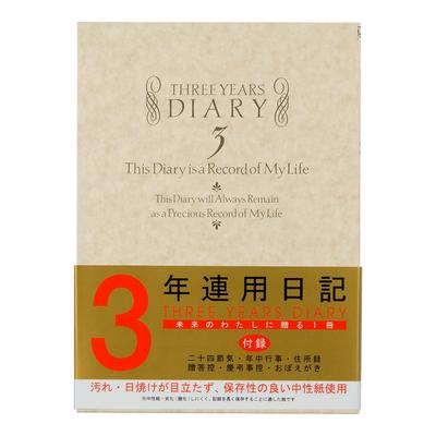 Midori Diary Western Style 12106001 3-year