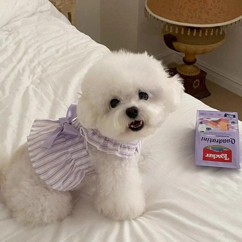 Pet Spring Cute Little Flying Sleeve Striped Dress Pet Dog Clothes Thin Yorkshire Dog Dresses for Small Dogs