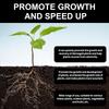 Plant And Flower Activating Liquid Solution Improves Plant Health Promote Root Development Plant Nutrient Solution
