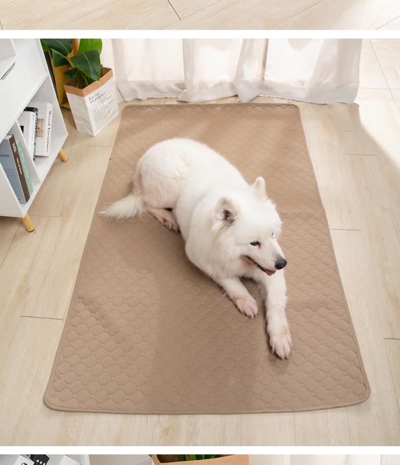 Washable Non-Slip Pet Urine Pad: Absorbent, Quick-Dry, Reusable Dog & Cat Training Diaper