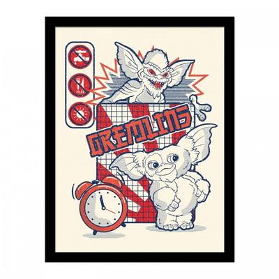 Rules Framed Poster