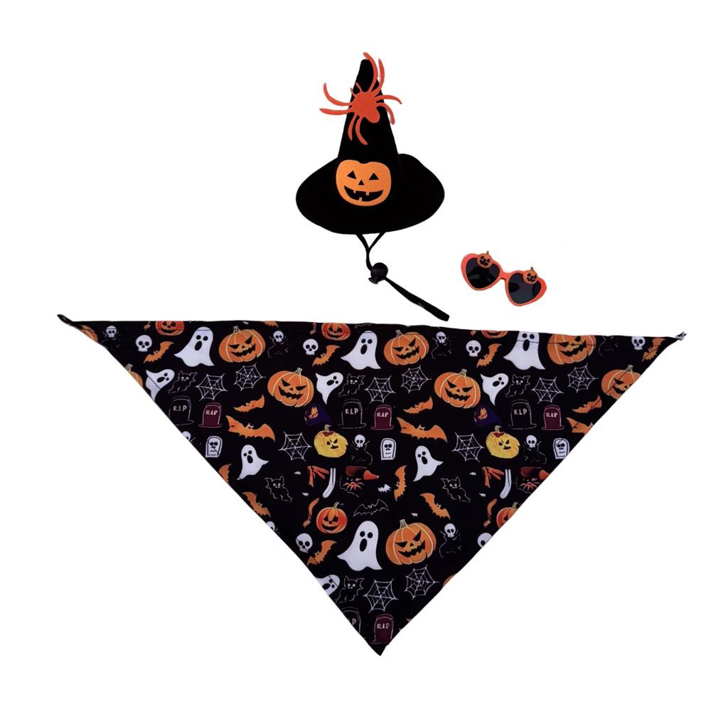 Halloween Goose Costume Set Includes Witch Hat with Spider and Pumpkin Design Bandana with Halloween Themed Prints and Sunglasses Accessory for Pets