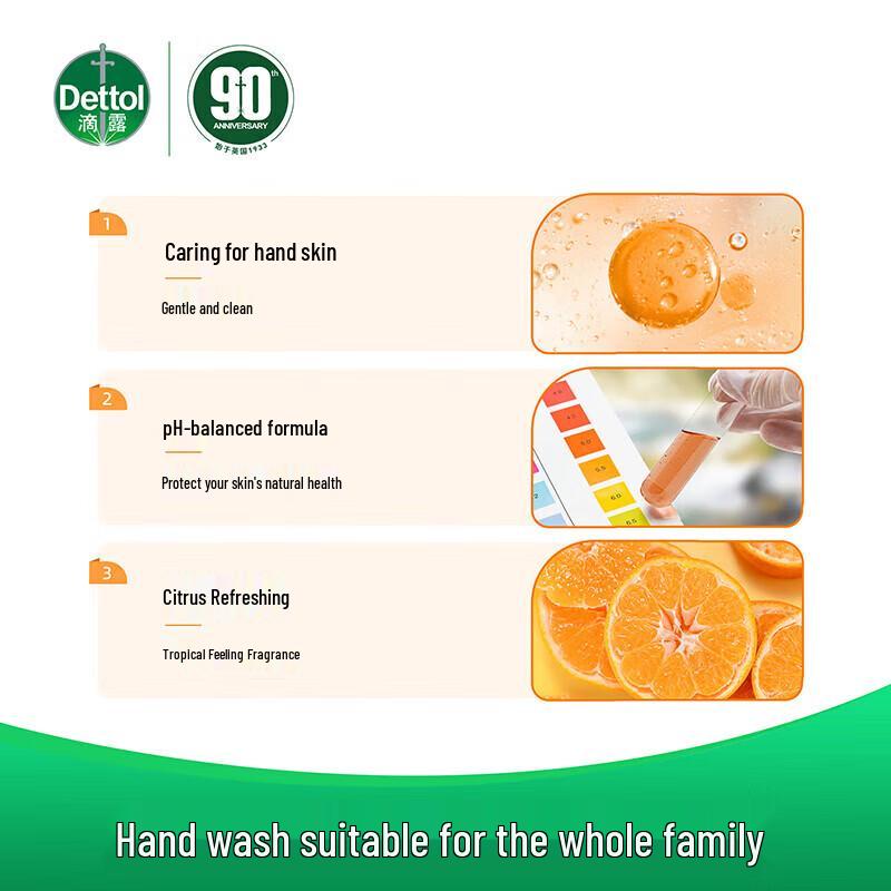 Dettol Antibacterial Hand Wash (Fresh Scent, Twin Pack)