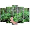 Five Piece Picture Canvas Print Rainforest Waterfall