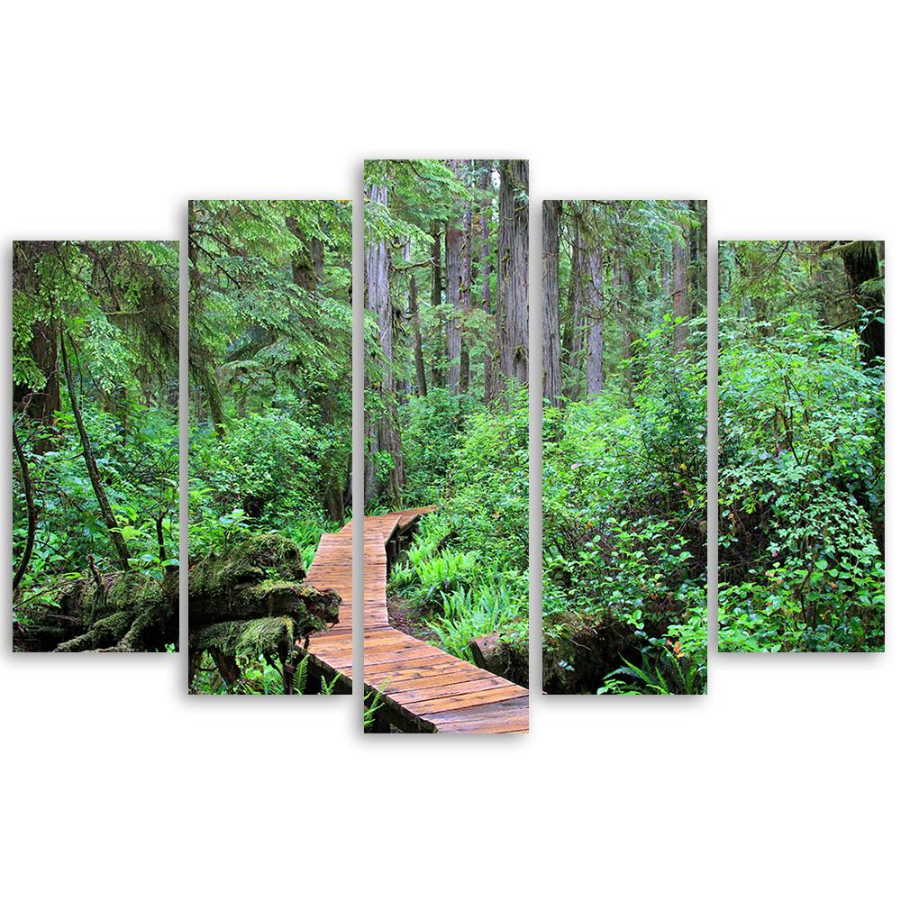 Five Piece Picture Canvas Print Rainforest Waterfall