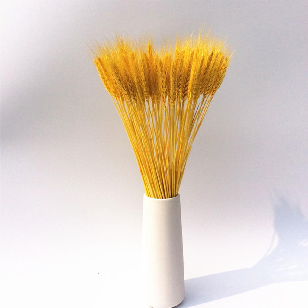 Home Decor Natural Dried Flowers Dried Wheat Bouquet Wheat Ear