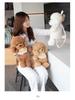 Teddy Dog Plush Backpack - Cute Double Shoulder Bag for Kids, Perfect Gift and Stylish Accessory