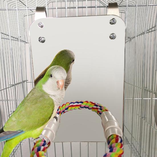 Haustier Vogel Papagei Spiegel Baumwollseil Sitzstange Käfigmontiert Dekoration Biss Knabbermahlzahn Spielzeug