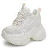 12 New Breathable Dad Shoes Platform Mesh Small Sports Casual Shoes A21
