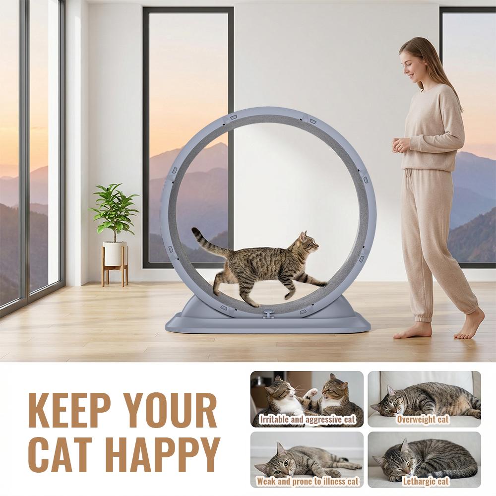 Roue d'exercice pour chat Roue de tapis de course pour animal de compagnie Jouet d'escalade pour chat Tapis de course silencieux avec tapis amovible pour intérieur/extérieur Fourniture pour animaux de compagnie