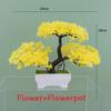 Plumosus Apargus Baker Plastic Faux Bonsai For Indoor Decoration Tabletop