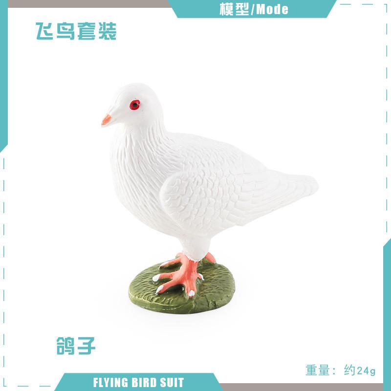 Atemberaubendes, realistisches Vogelfiguren-Set mit farbenfrohen Tauben-, Elster- und Kuckucksmodellen