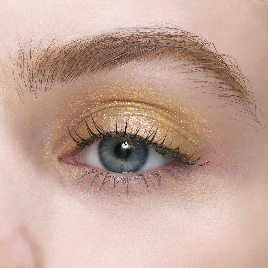 ANNA SUI Liquid Eye Color 800 2.5g