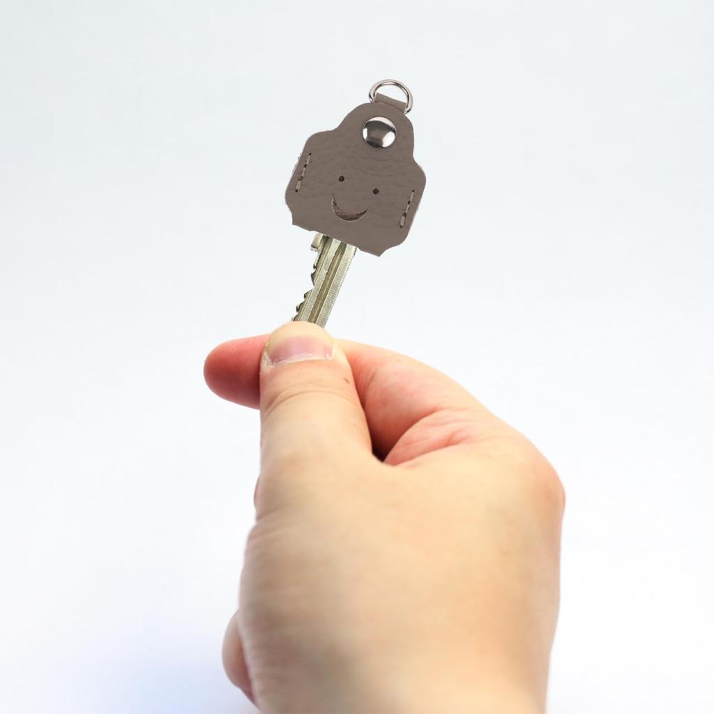 LIFKOME Key Head Cover, Convenient Key Cover, Cute Car Key Case, Key Identifier Cap,