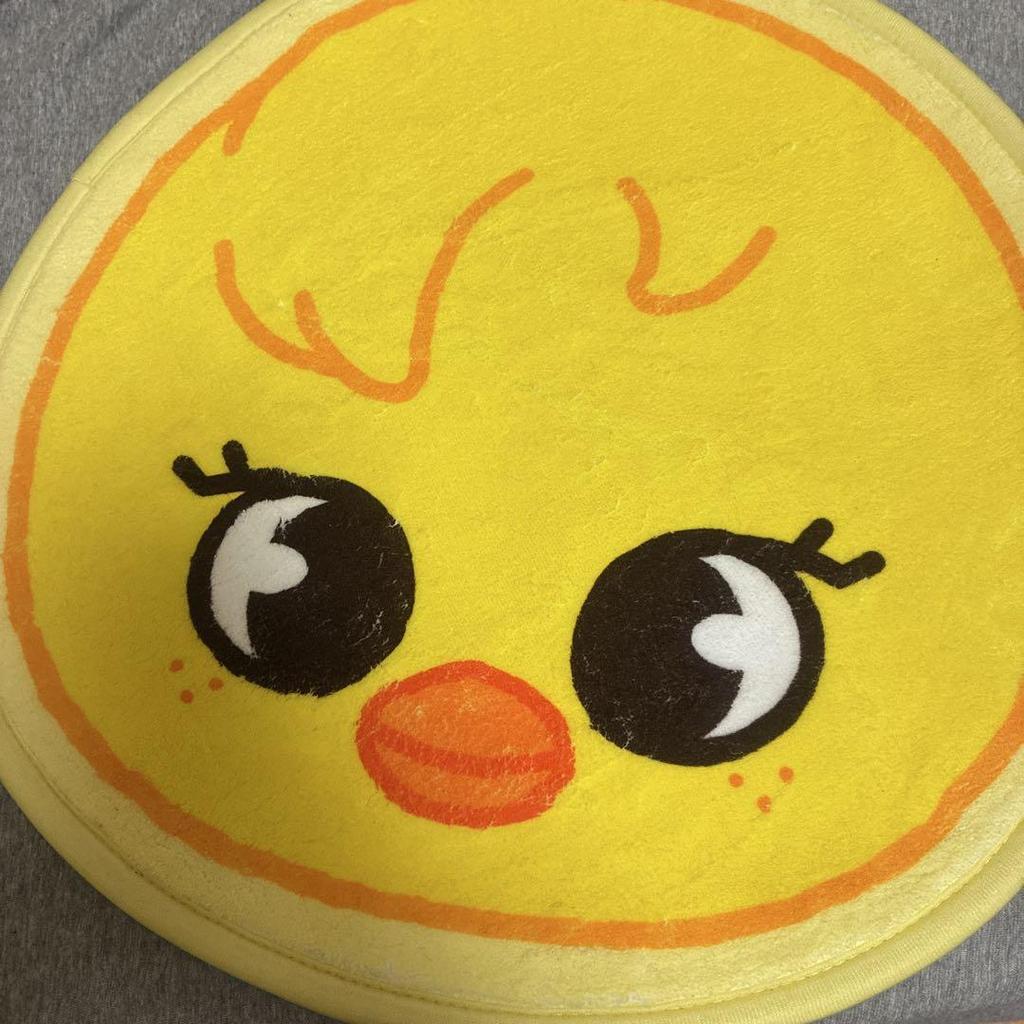 [USED] Stray Kids SKZOO Pogari Felix Mini Carpet