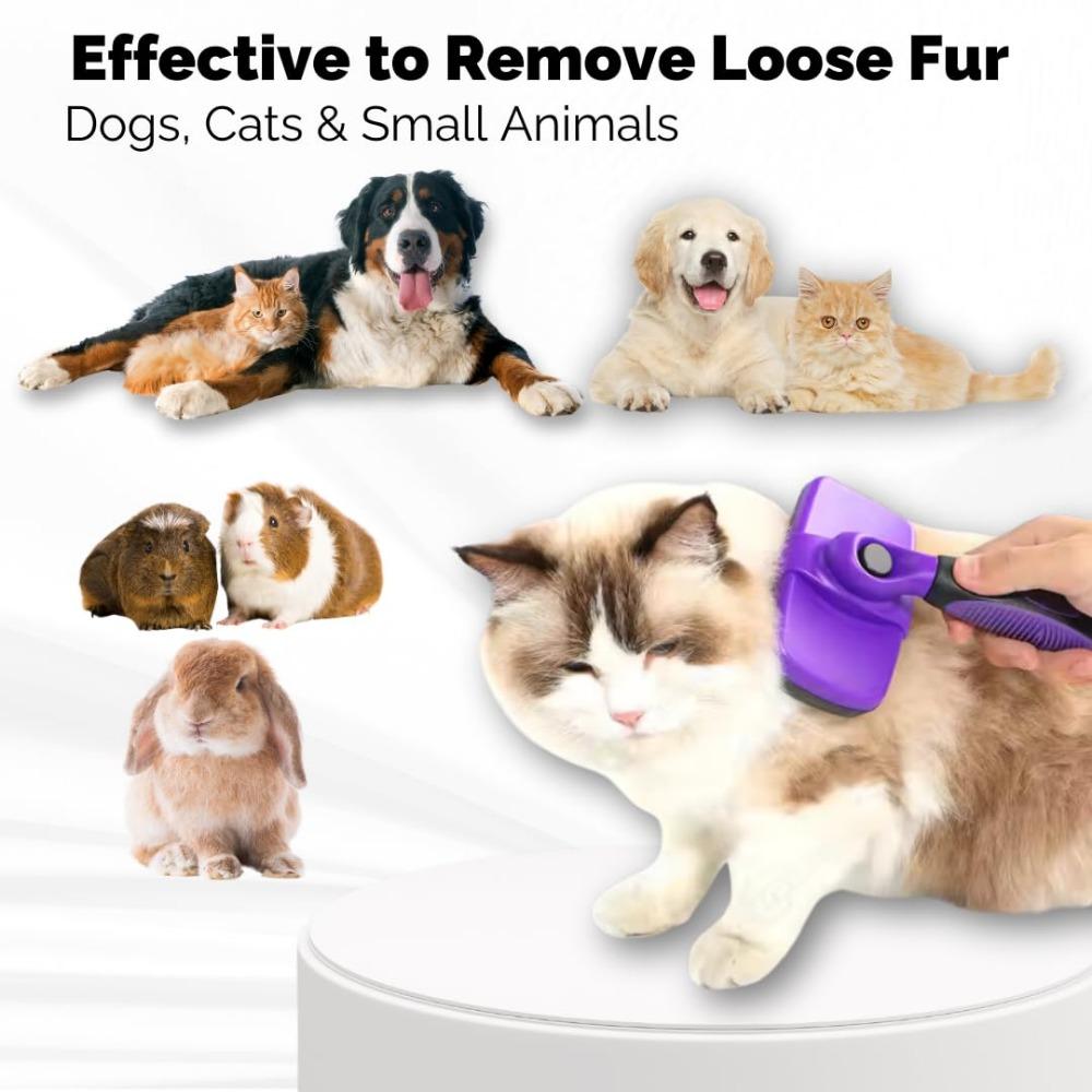 Tierhaarentferner Bürste, Selbst reinigende Slickerbürste Mit Click Clean Knopf, Ausdünnungswerkzeug Für Katzen Hunde, Wesentlicher Pflegekamm Für Lose Haare Entf