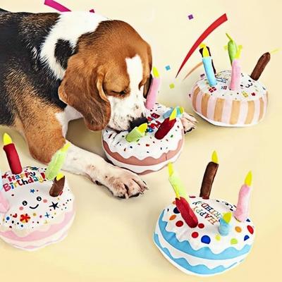 Nouveau Gâteau d'Anniversaire Chien Résistant aux Morsures Interactif à Mâcher Chiot Dentition 16cm Gâteau Décoration de Fête