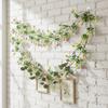 Colorful Design Easter Egg Wreath Green Vine Long Green Plant Wall Hanging  Easter Party