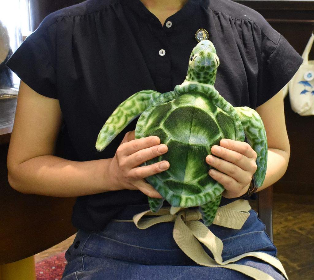 BH7255 HANSA Green Turtle 28