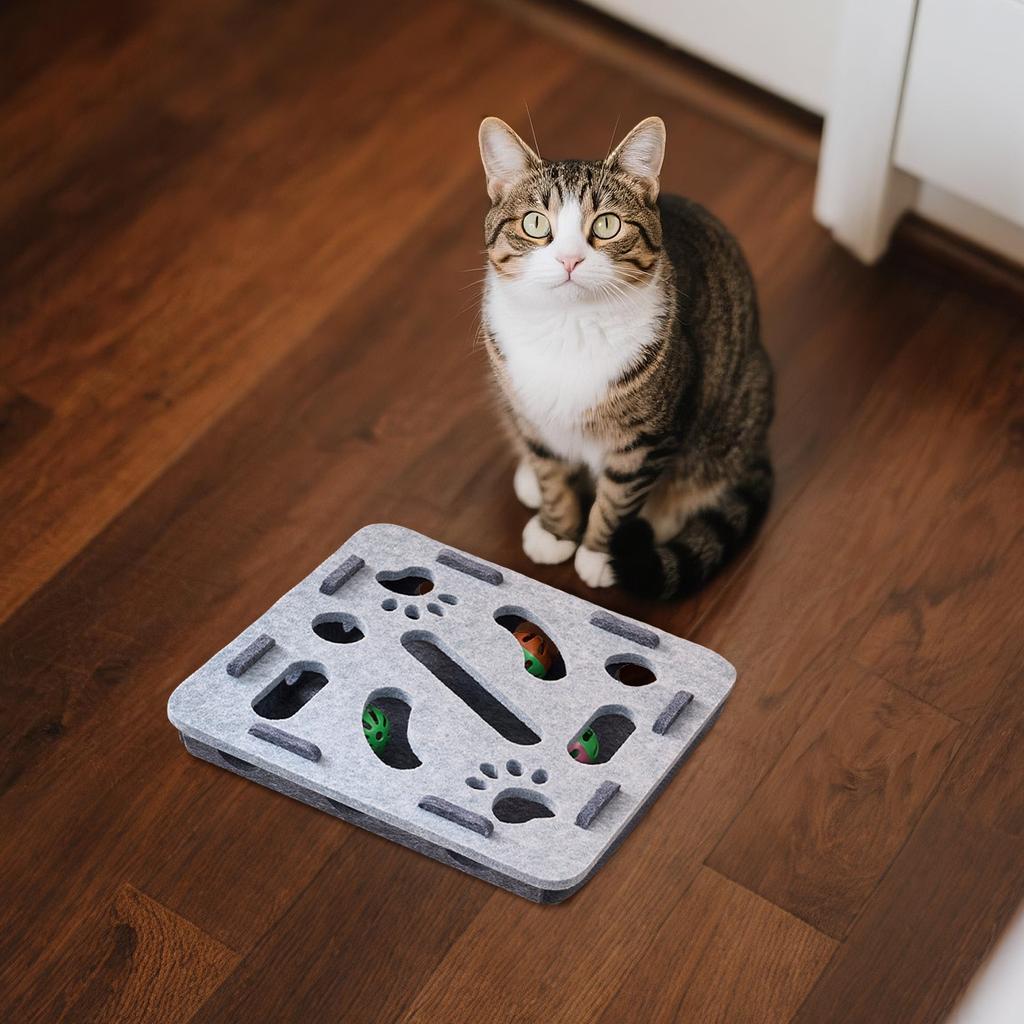 Educational Toys Interactive For Indoor Tease Box With Squeaker Toys And Scratching, Track Ball Toys For Physical Exercise