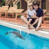 Simulated Dinosaur Water Splashing Shark Children'S Water Toy