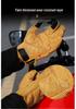 Genuine Leather Breathable Motorcycle Racing Gloves - Anti-Fall, Summer Riding Gear