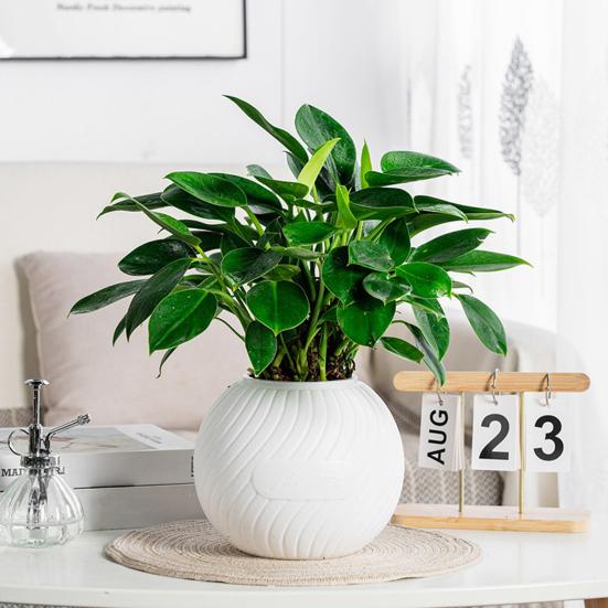 Self Watering Pot for Indoor Plants Plastic Wicking Flower Pot with Inner Pot Modern Decorative Planter for Herbs Flowers House Plants