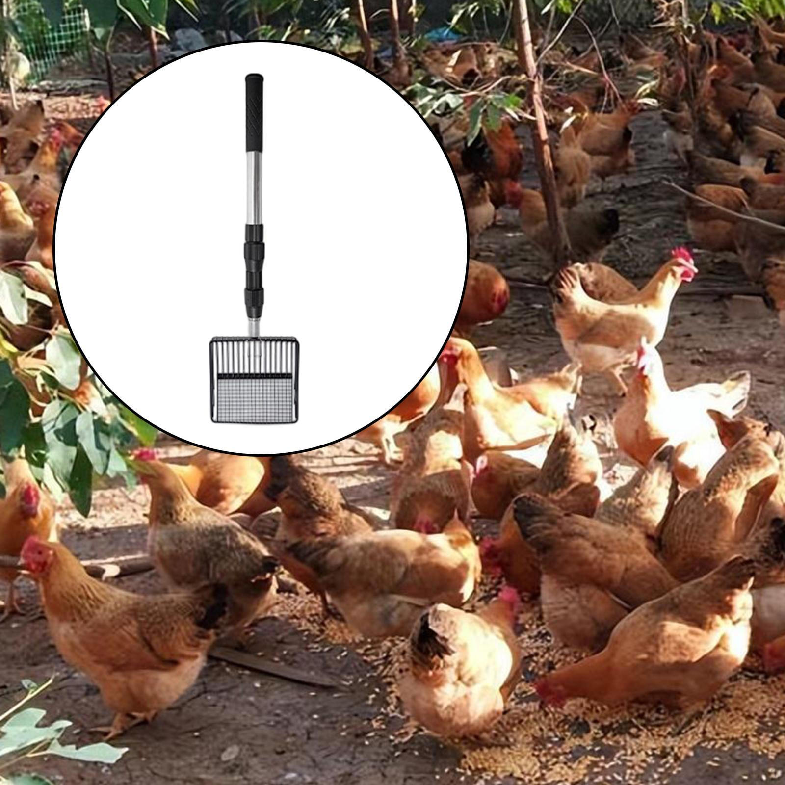 

Регулируемый совок для куриного помета с длинной ручкой, металлический, для уборки фермы hollow shovel