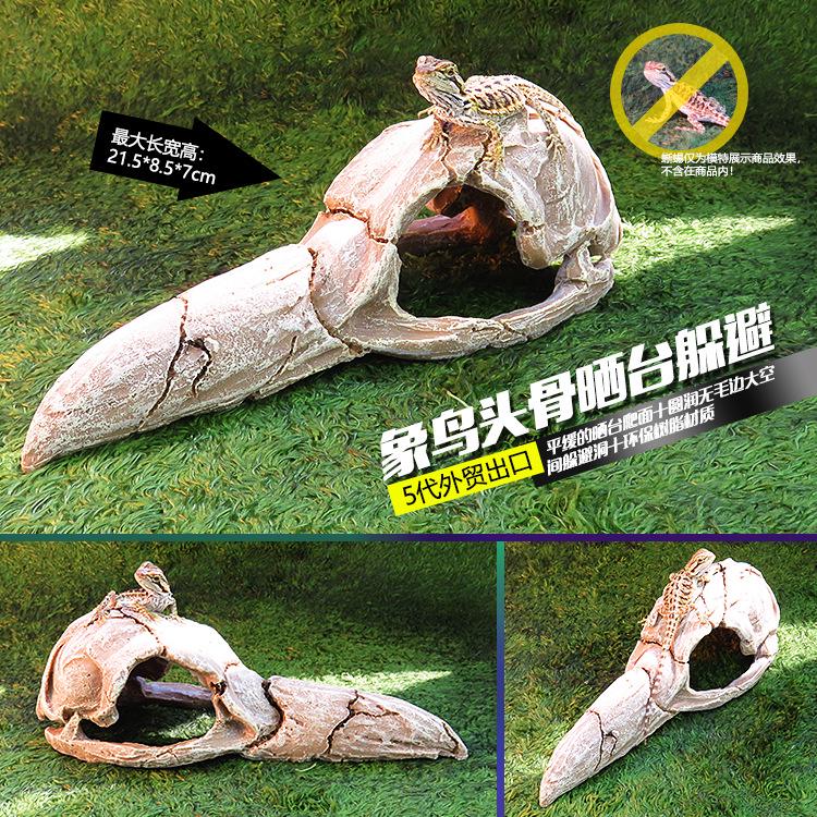 Akril Hüllőtenyésztő Doboz Dekoratív Koponyával