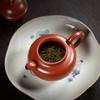 Canghu World Handmade Yixing Zisha Zhu Ni Teapot