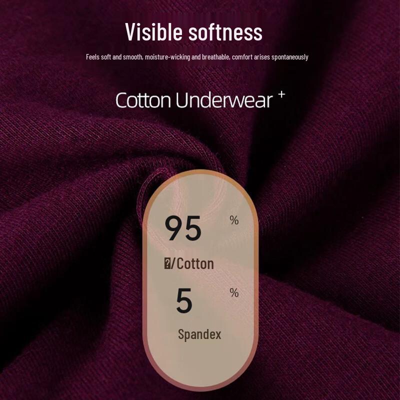 FitonTon Women's High-Waist Cotton Briefs 4-Pack