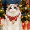 Knitted Christmas Scarf for Dogs & Cats - Cute Red & Green Pet Bib