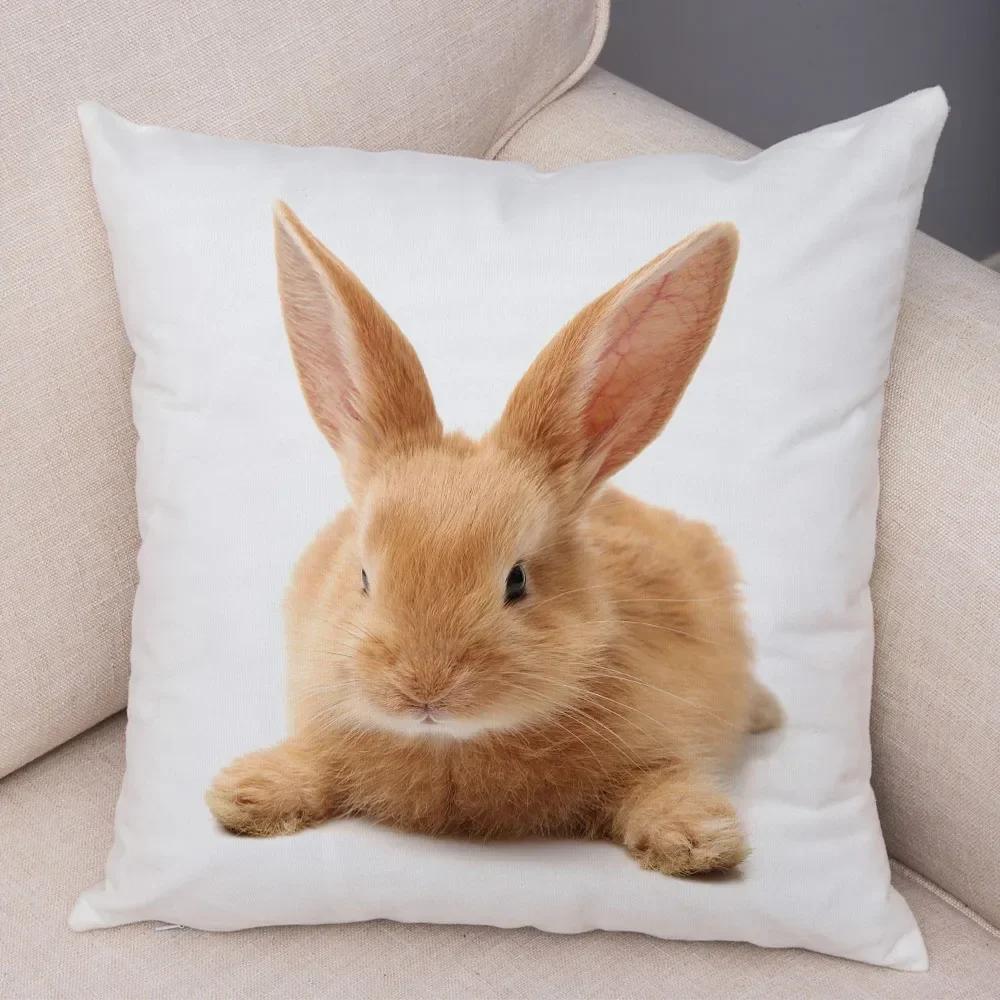 Home Sofa Kids Room Decor Cute Pet Animal Print Cushion Cover Pillowcase  Rabbit