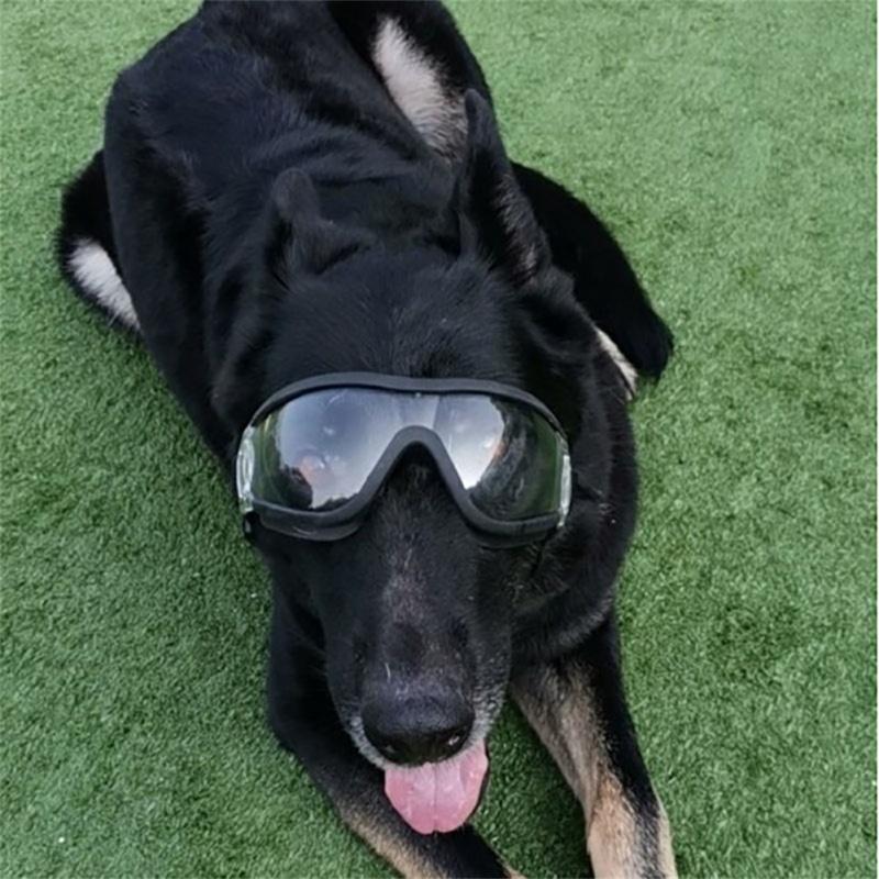 Waterproof Anti-snow Ultraviolet Dog Glasses Pet Eye Protection Goggles