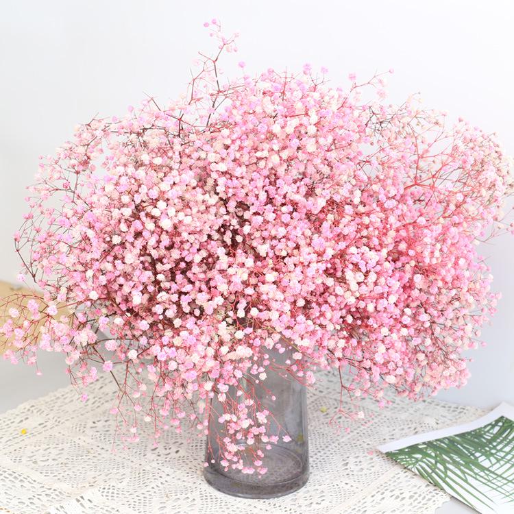 Eternal Gypsophila Bouquet: Color-Absorbing Ilocos Flowers for DIY Floral Arrangements and Wedding Decorations