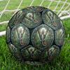 Jungle Lizard Emblem Round Football Size 5 Adult Ball Suitable for Training Matches and Outdoor Team.