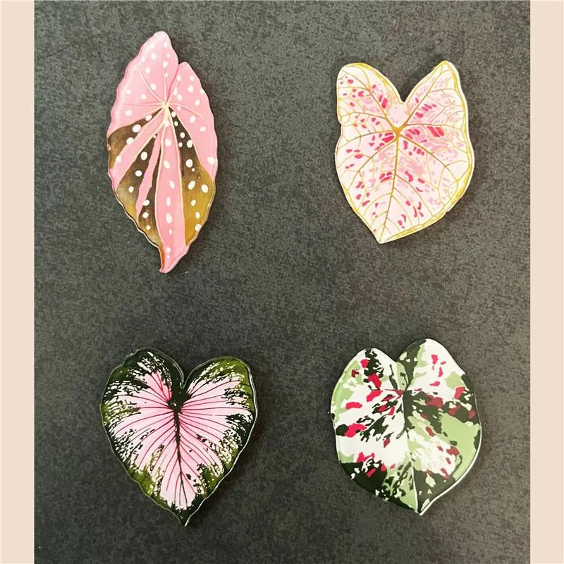 6pcs Begonia Monstera Magnetic Refrigerator Magnets, Kawaii Tropical Plants Refrigerator Magnets, Whiteboard Magnets